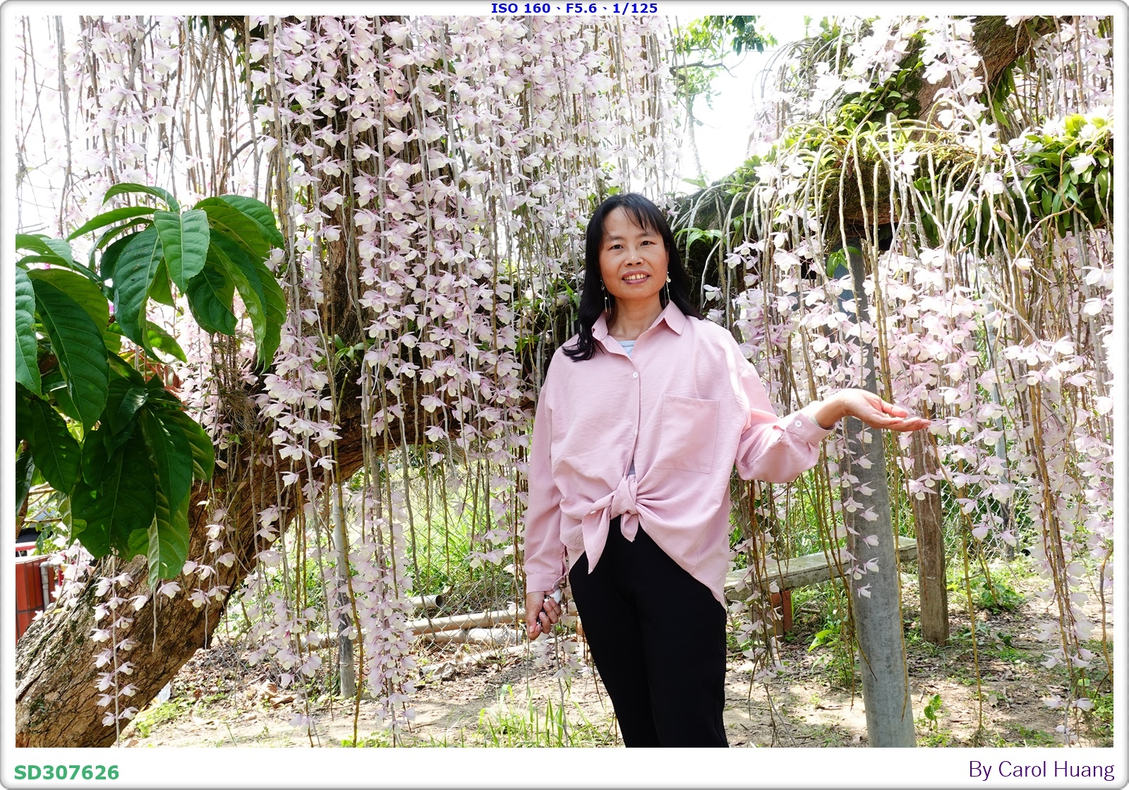 【旅拍】250504-D5600+60/F2.8 MICRO