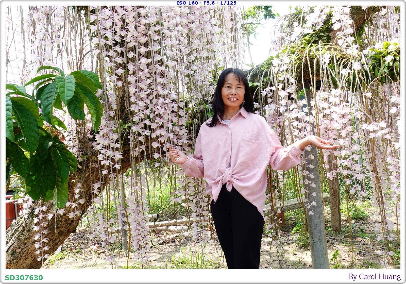 【旅拍】250504-D5600+60/F2.8 MICRO