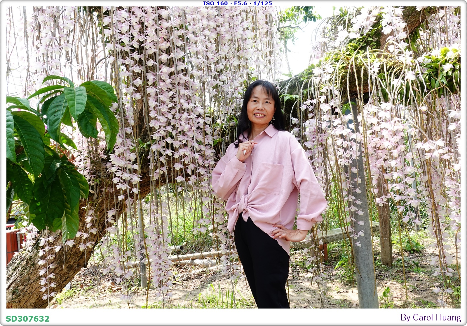 【旅拍】250504-D5600+60/F2.8 MICRO