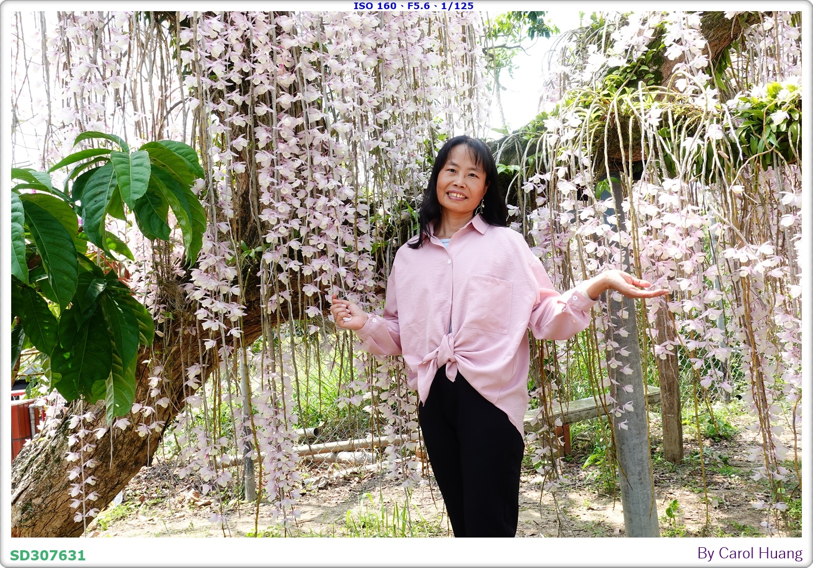 【旅拍】250504-D5600+60/F2.8 MICRO