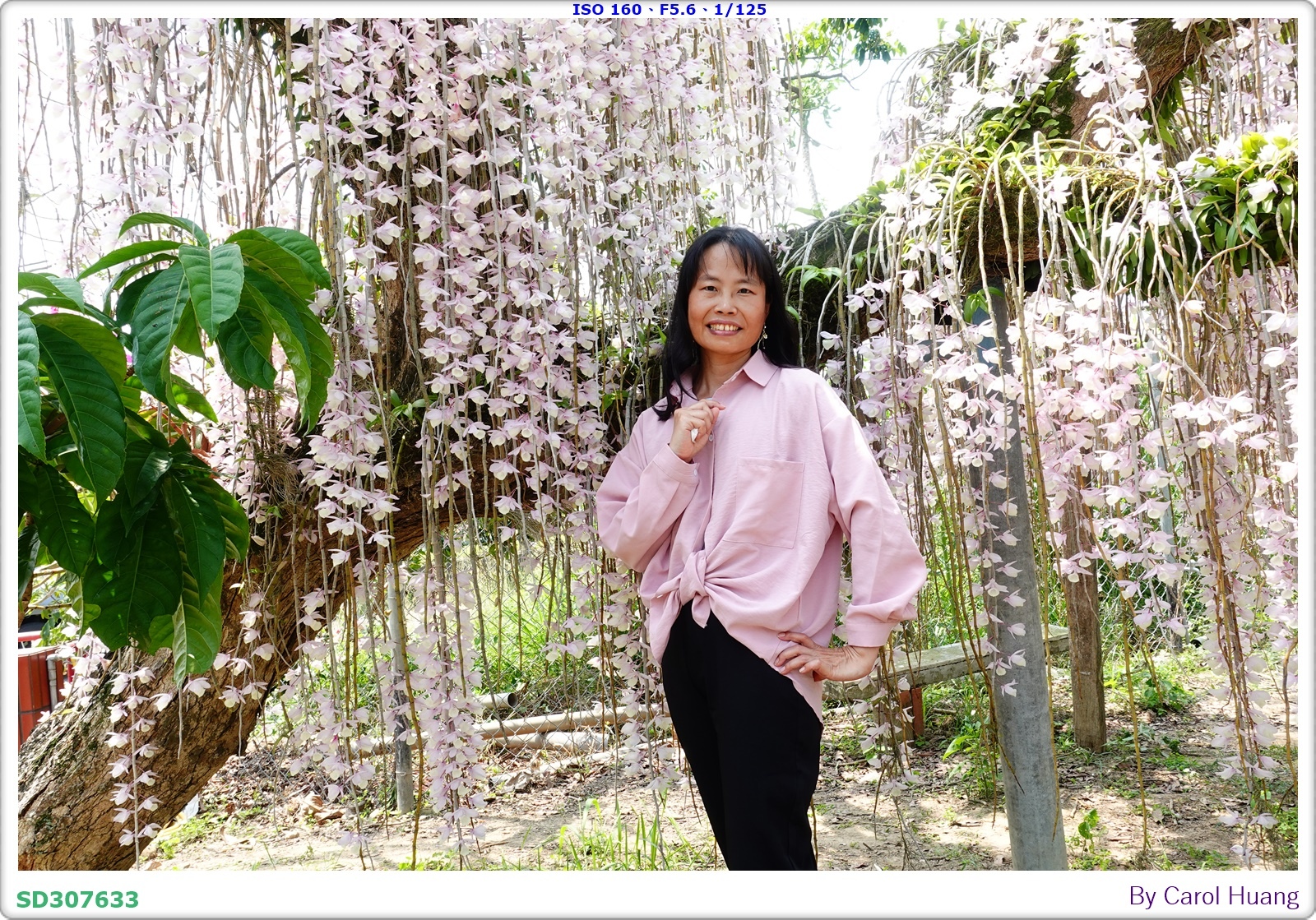 【旅拍】250504-D5600+60/F2.8 MICRO