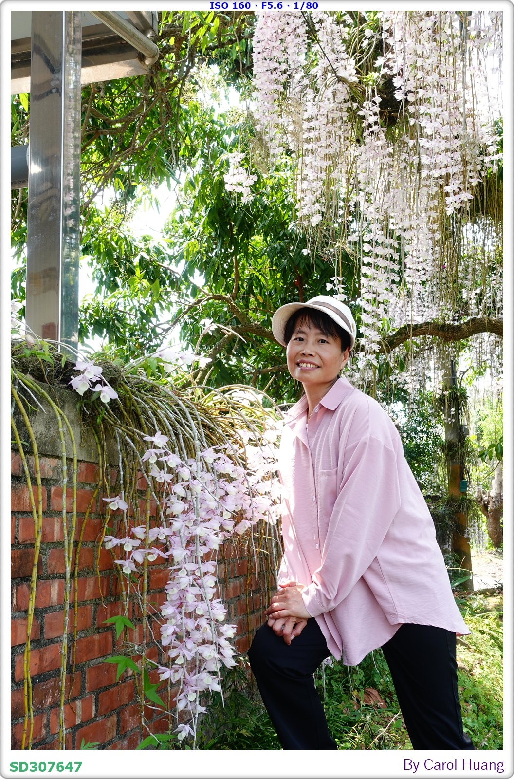 【旅拍】250504-D5600+60/F2.8 MICRO