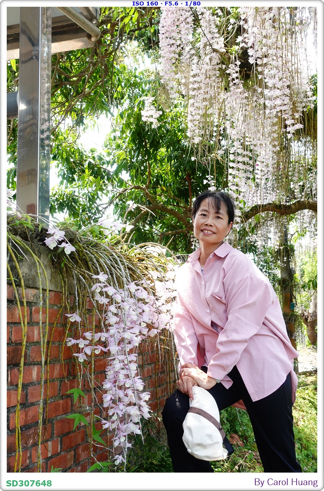 【旅拍】250504-D5600+60/F2.8 MICRO