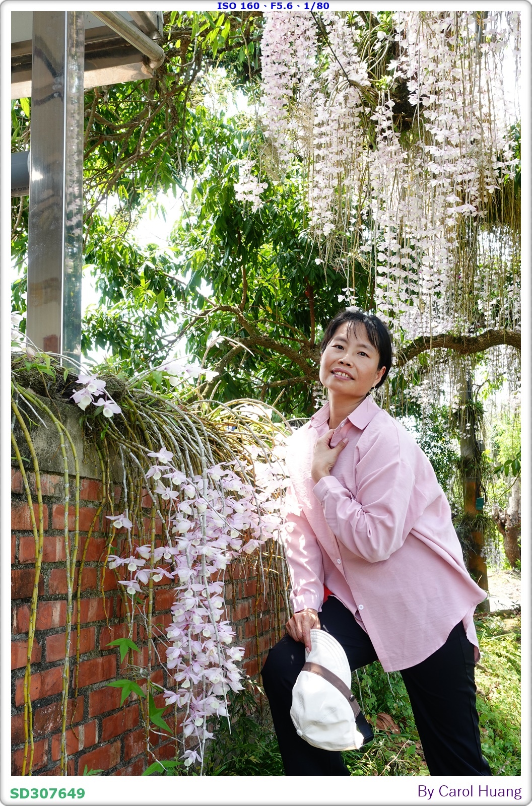 【旅拍】250504-D5600+60/F2.8 MICRO