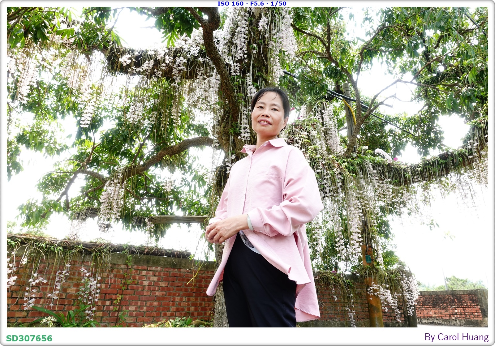 【旅拍】250504-D5600+60/F2.8 MICRO