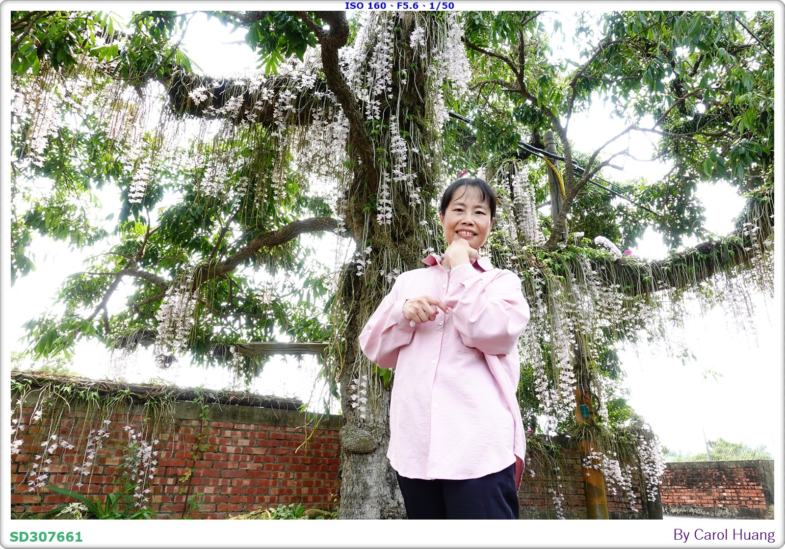 【旅拍】250504-D5600+60/F2.8 MICRO