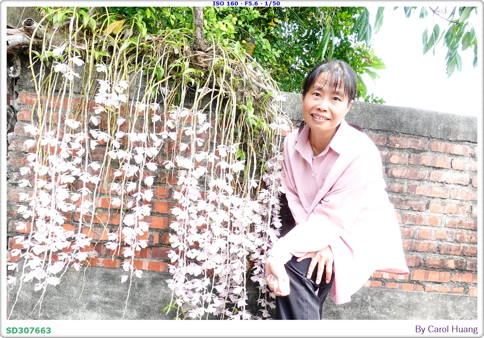 【旅拍】250504-D5600+60/F2.8 MICRO