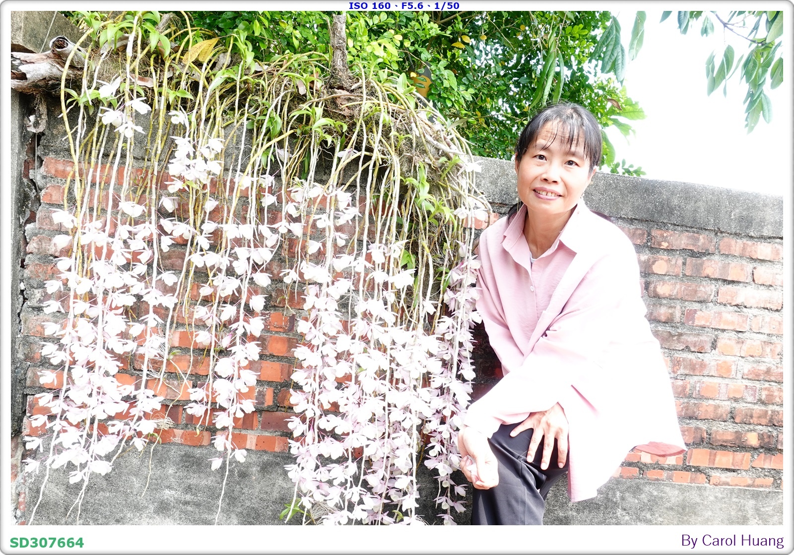【旅拍】250504-D5600+60/F2.8 MICRO
