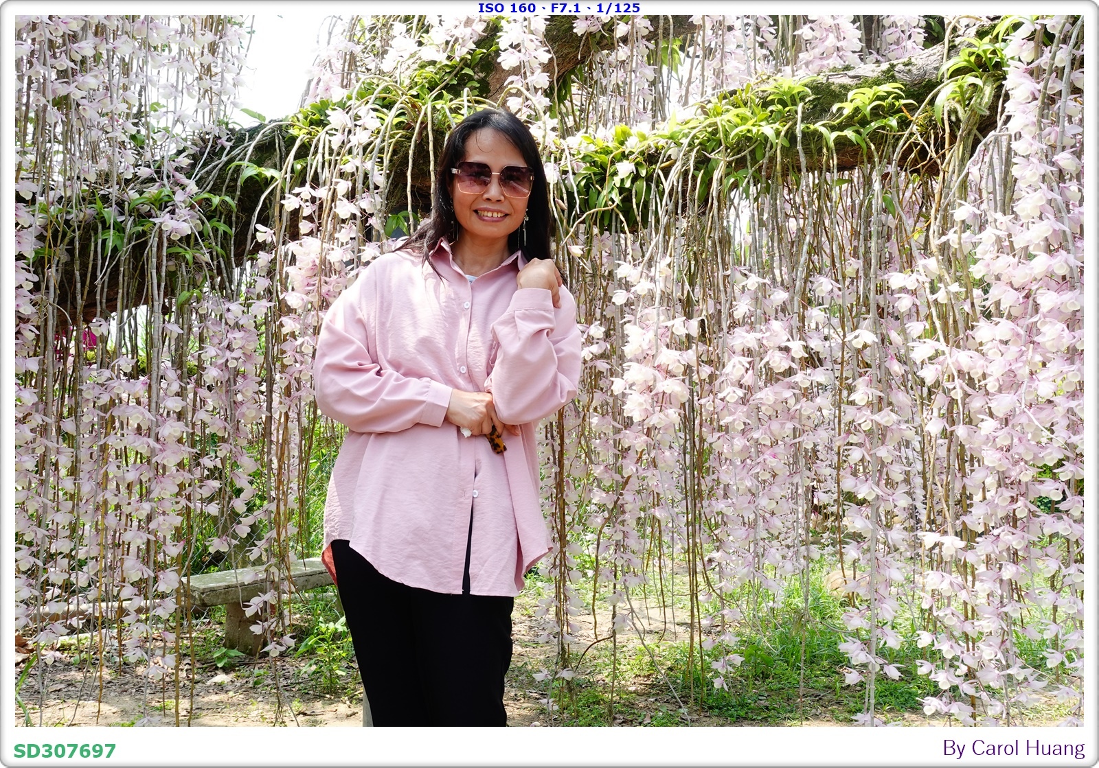 【旅拍】250504-D5600+60/F2.8 MICRO