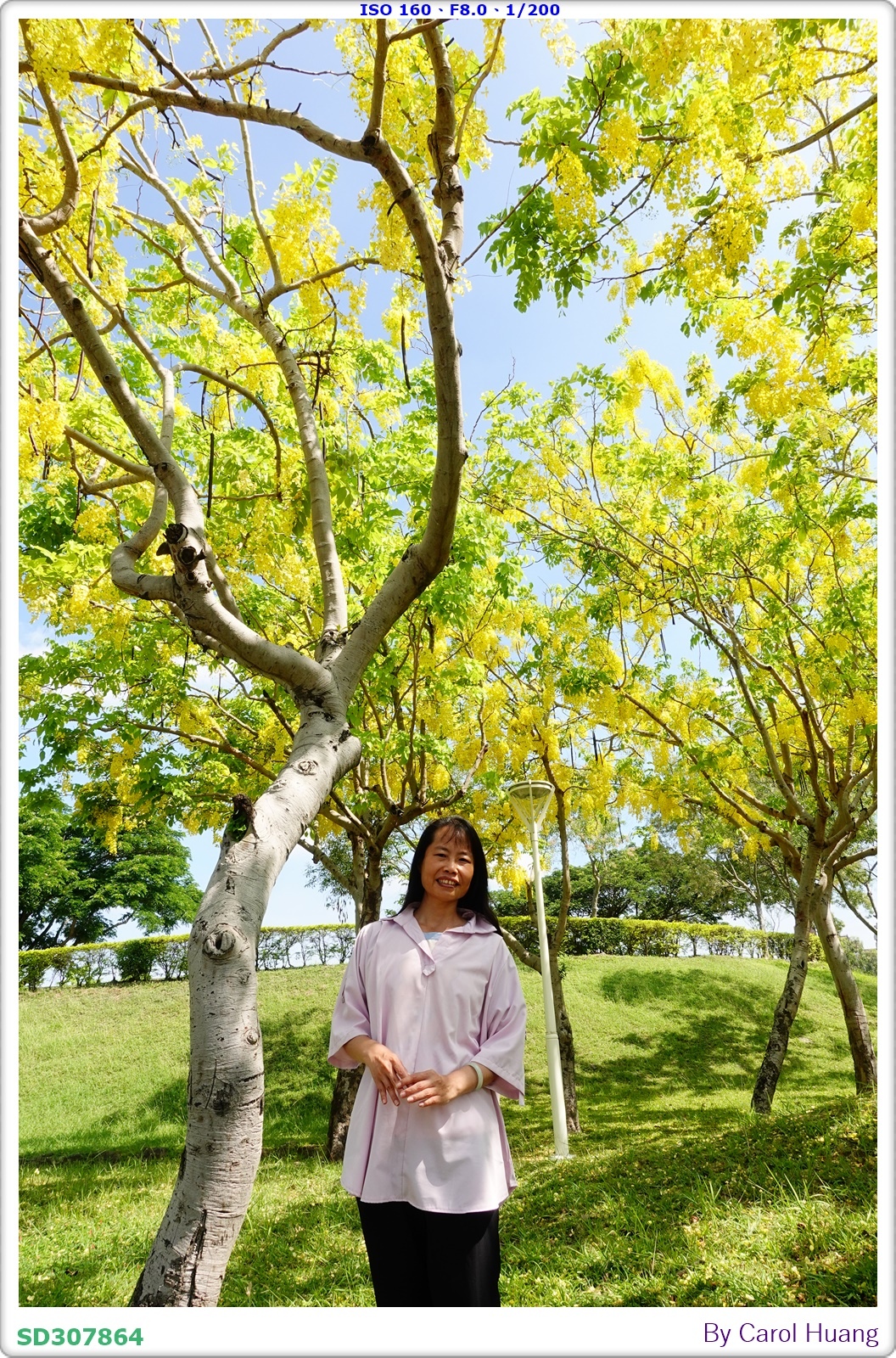 【隨拍】250601-RX100M5A「岡山河堤公園～阿勃勒