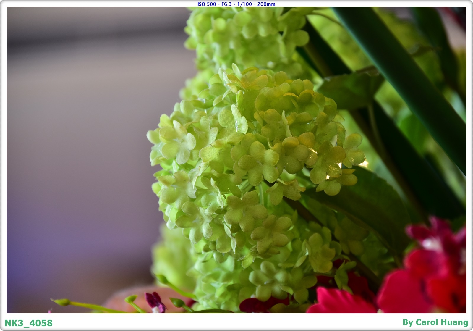 【隨拍】250629-D5600+SIGMA 18-200 