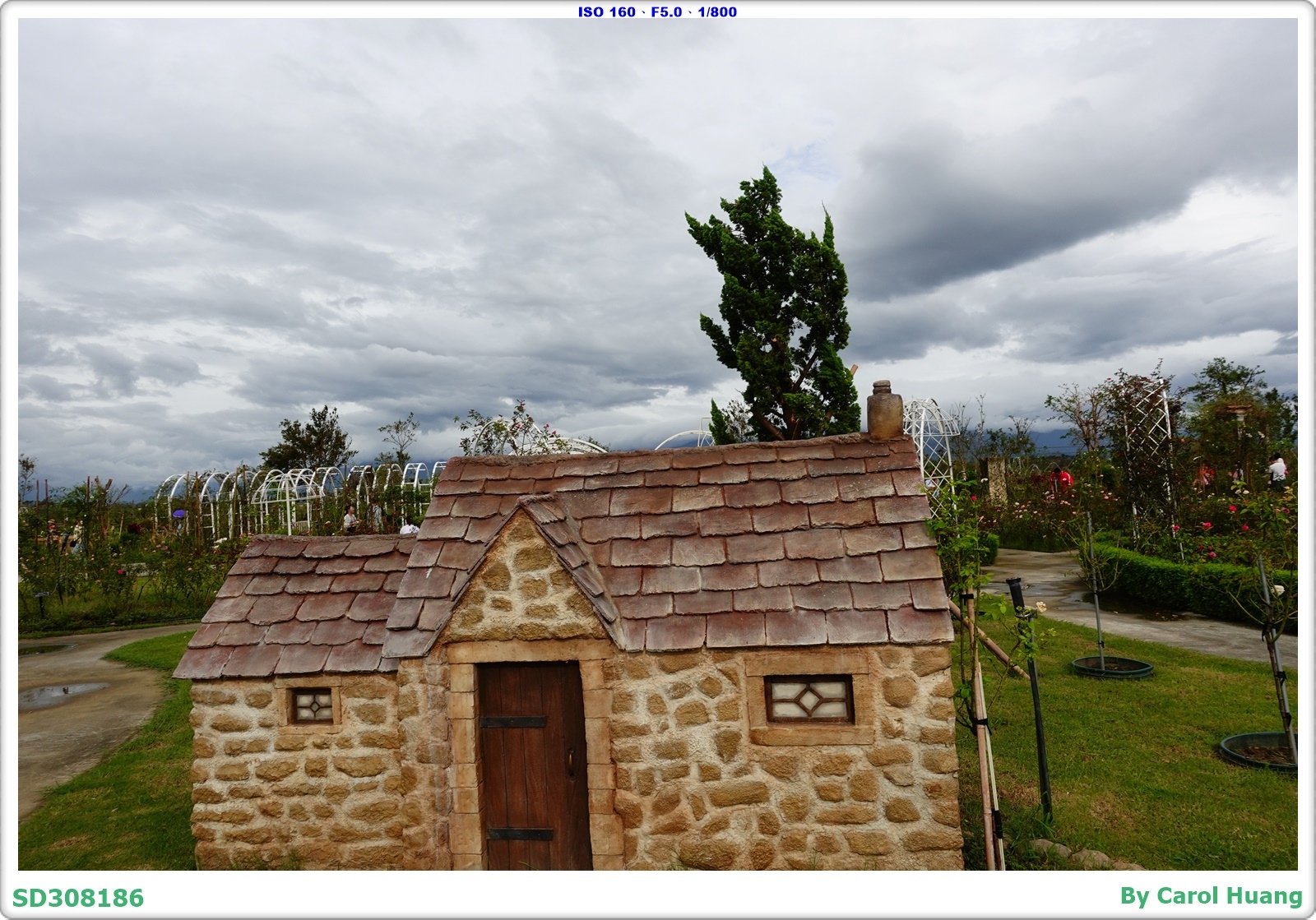 【旅拍】250720-RX100M5A「台南後壁～雅聞湖濱療