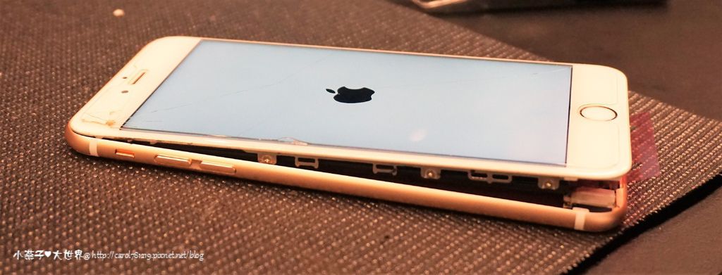 DSC07709.JPG DSC07709.JPG