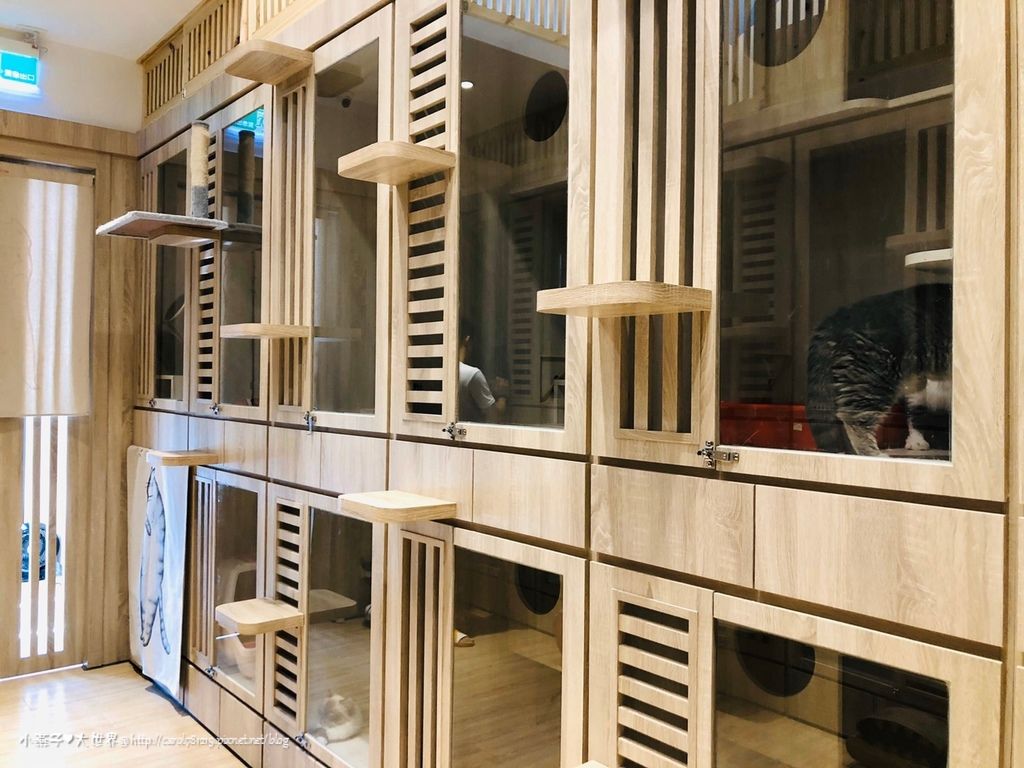 20191126_191126_0041.jpg 20191126_191126_0041.jpg