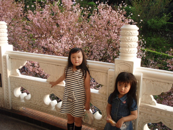 P3220588.JPG