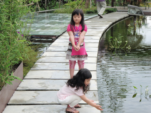 P4190751.JPG