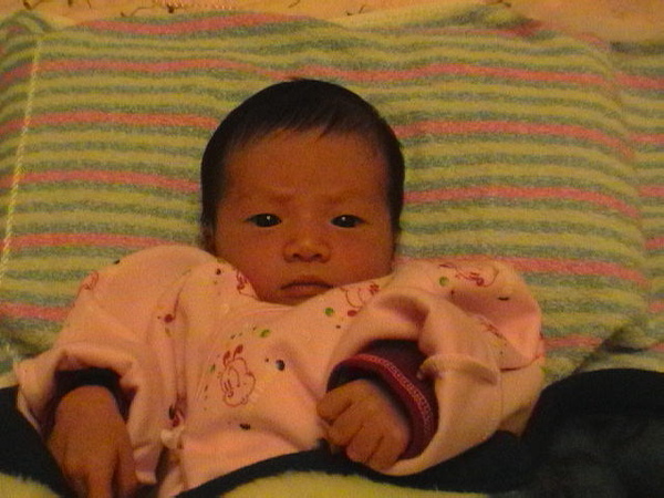 IMGA0040.JPG