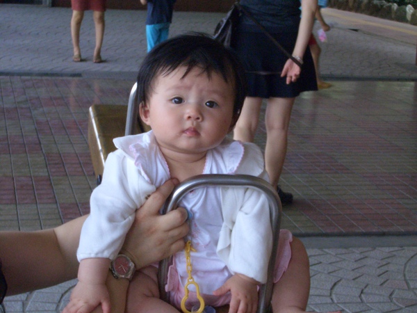 CIMG0040.JPG