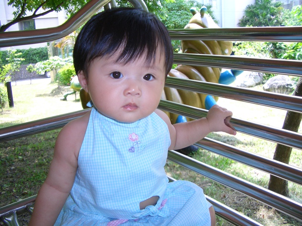 CIMG0168.JPG