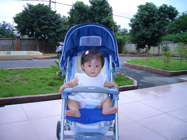 CIMG0179.JPG