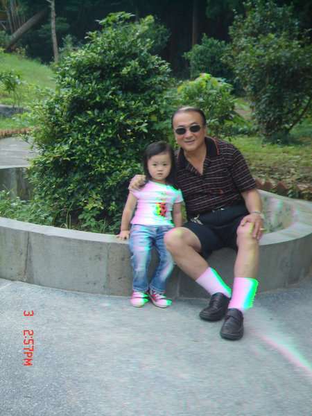 DSC00331.jpg