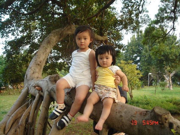 DSC00375.JPG