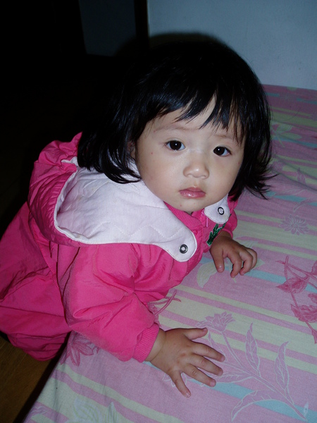 PC260182.JPG