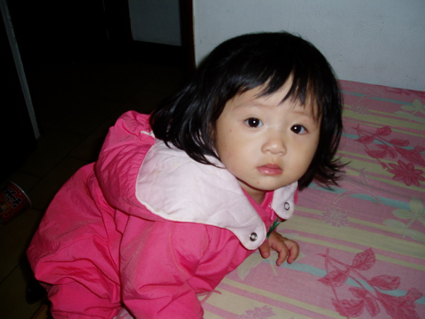 PC260181.JPG