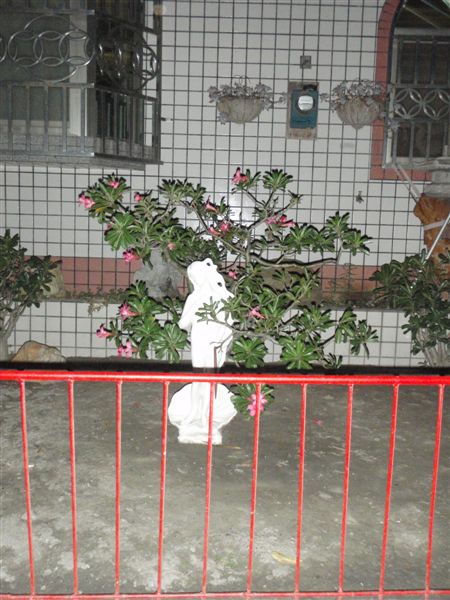 PA171420.JPG