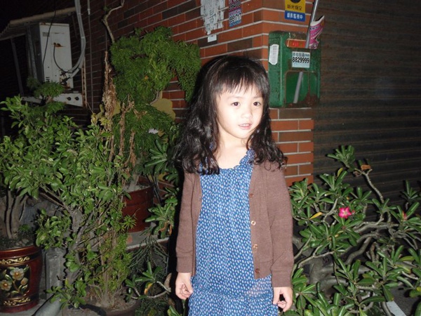 PA171428.JPG