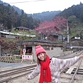 IMG_6531.jpg