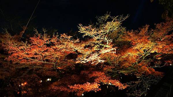 batch_DSC08101拷貝.jpg batch_DSC08101拷貝.jpg