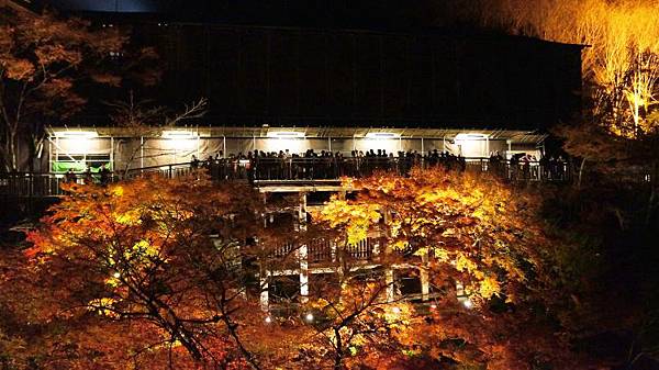 batch_DSC08141拷貝.jpg batch_DSC08141拷貝.jpg