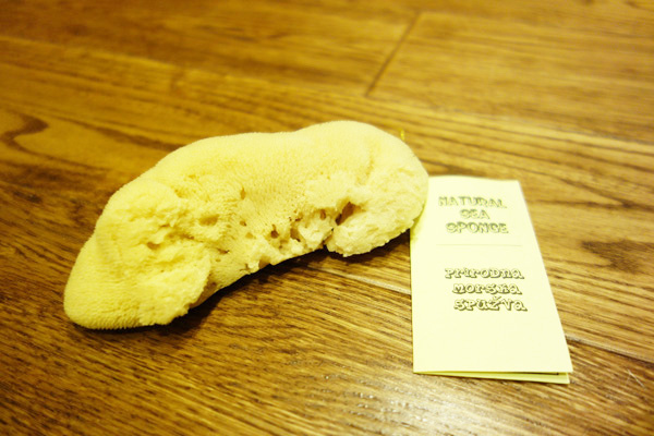 DSC07761拷貝.jpg