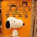 snoopy Town.JPG