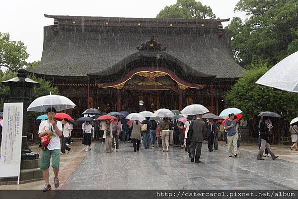 雨真是超級大的~我家寶貝在一邊等我照相.JPG