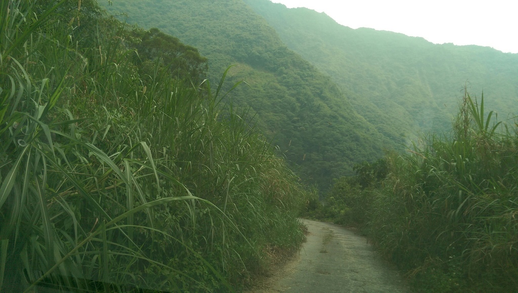 山地門龍豪咖啡露營區_2175