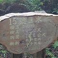 DSC08388_大小 .JPG