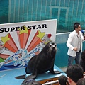 DSC08190_大小 .JPG