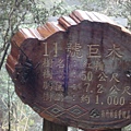 DSC08366_大小 .JPG