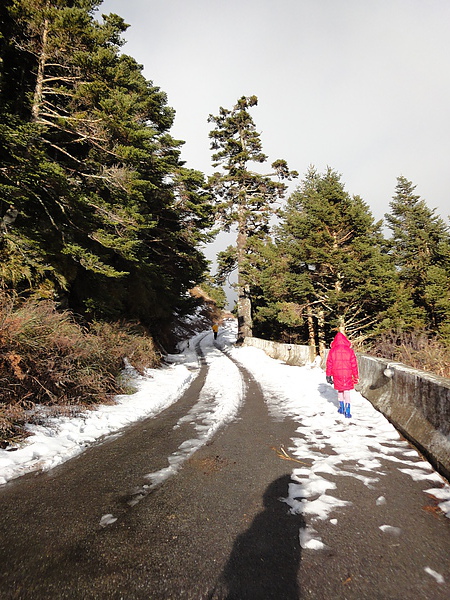 合歡山-滑雪山莊-下雪了