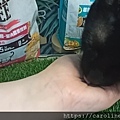 1655665766051.jpg