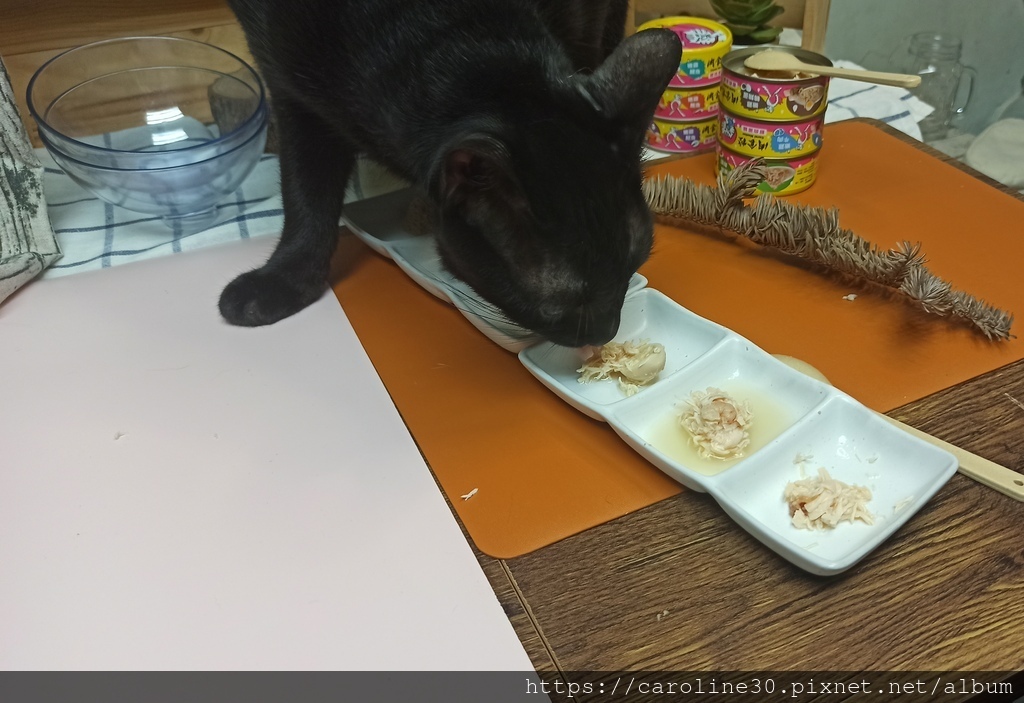 【體驗】【毛孩】【食．貓】大口吃肉！喵樂肉食控評價好適口性佳