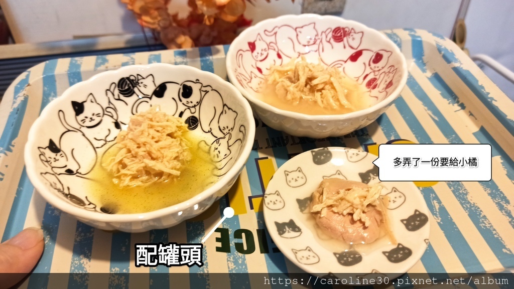 【體驗】【毛孩】【食．貓】開箱！「沛威貓保健-好胃口益生菌」