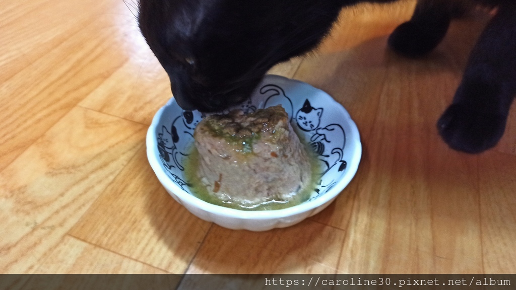 【體驗】【毛孩】【食．貓】開箱！「沛威貓保健-好胃口益生菌」