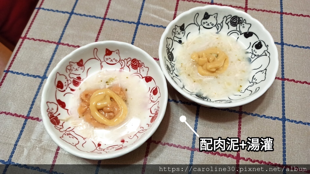 【體驗】【毛孩】【食．貓】開箱！「沛威貓保健-好胃口益生菌」