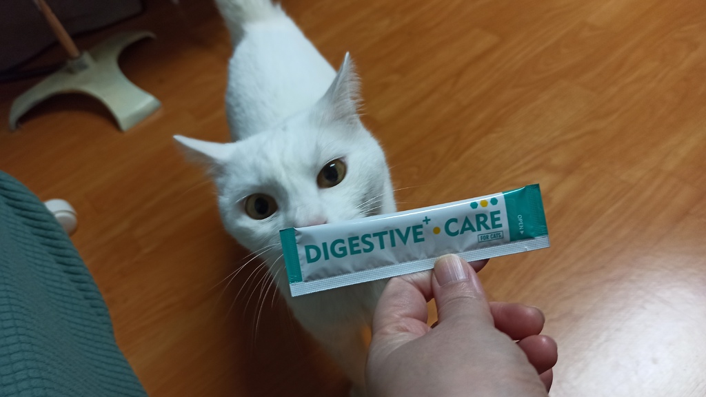 【體驗】【毛孩】【食．貓】開箱！「沛威貓保健-好胃口益生菌」