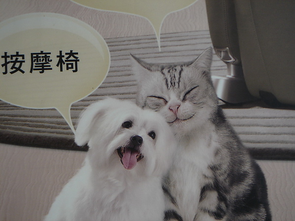 DSC00066_調整大小.JPG DSC00066_調整大小.JPG