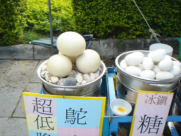 DSC00466_調整大小.JPG DSC00466_調整大小.JPG