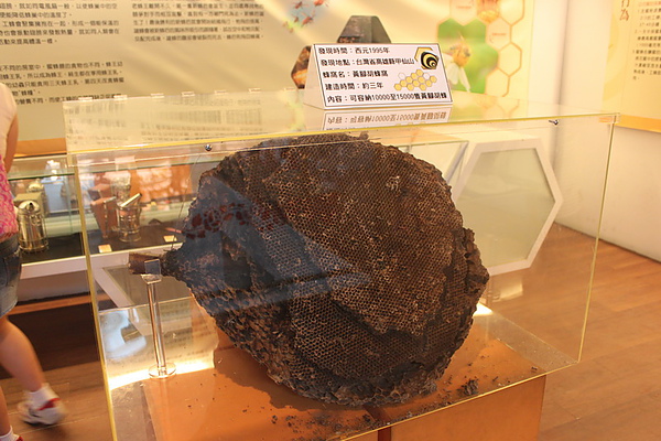IMG_2040_調整大小.JPG IMG_2040_調整大小.JPG